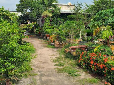 Đất vườn hxt 722m2, nở hậu   xuân thới thượng 2 hm 0