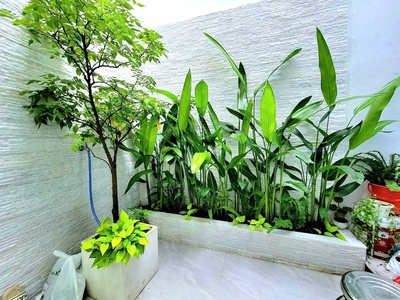 Rất ngon - nhà chính chủ - định cư - gấp bán 8.6 tỷ - tl  mạnh - nơ trang long - p11 bình thạnh - 1