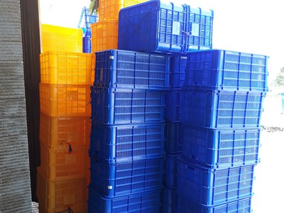 Sóng nhựa hở 3T1 giá rẻ 2