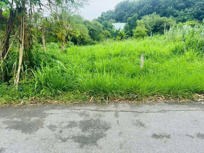 100m2 thổ cư mặt tiền đường nhựa xã Phú Hòa Đông, Củ Chi giá 1,2 tỷ 2