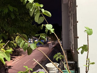 Gấp bán nhà 2 tầng mt dũng sĩ thanh khê 90m cạnh biển nguyễn tất thành chỉ 6.35 tỷ 4