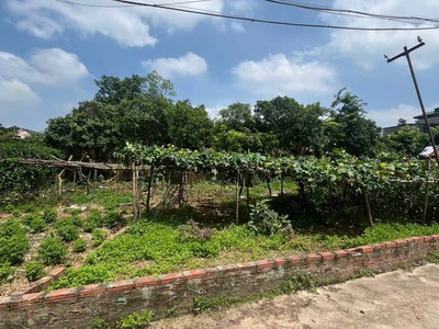 Chủ nhờ bán 105m2, mt7m, 2.8 tỷ, lập trí, minh trí   kim anh , hà nội.ô tô thông. 3