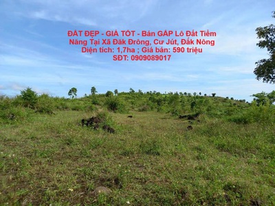 Đất đẹp - giá tốt - bán gấp lô đất tiềm năng tại xã đăk đrông, cư jút, đắk nông 0