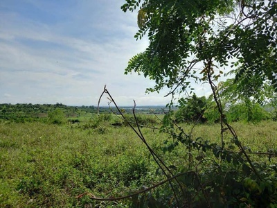 Đất đẹp - giá tốt - bán gấp lô đất tiềm năng tại xã đăk đrông, cư jút, đắk nông 3