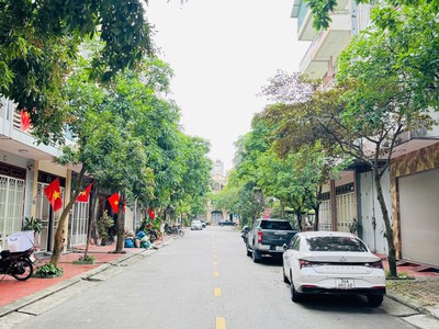Bán đất mặt phố Vũ Văn Mật, Khu Đông Nam Cường, TP HP mới, 60m2, mt 4m, đường 13.5m 2