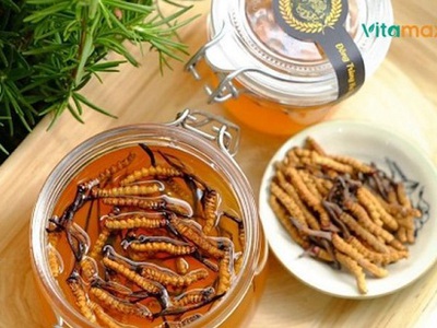 Nguyên tắc cơ bản khi chọn tỷ lệ ngâm đông trùng hạ thảo mật ong 0