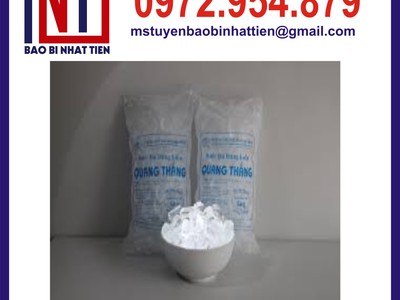 Túi PE đựng đá viên, bao bì PE đựng đá viên 5
