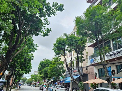 Cho thuê đất mặt tiền đường Nguyễn Du - trung tâm TP Đà Nẵng 1