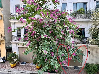 Phúc đồng,long biên 16tỷ 60m,phân lô ô tô vỉa hè,vừa ở vừa kinh doanh cho thuê đỉnh 1