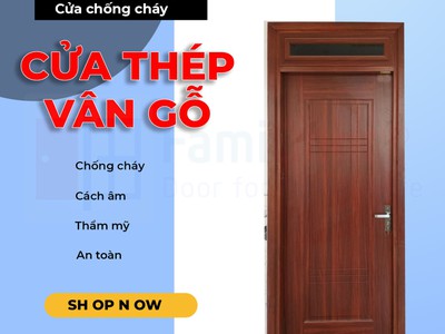 Cửa thép vân gỗ 1 cánh 1