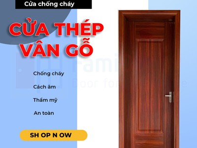 Cửa thép vân gỗ 1 cánh 0