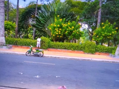 Bán nhà mặt phố đường tôn đức thắng sa đéc- lá phổi xanh ngay lòng thành phố ngàn hoa. 1
