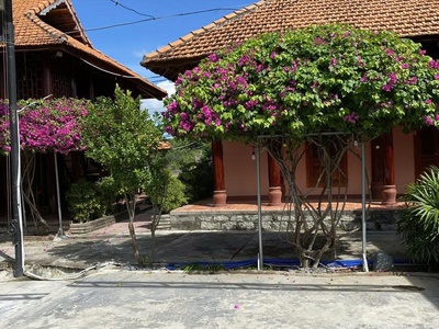 Có 2 lô đất cần cho thuê tại đường tạo lực, tân hiệp, tân uyên, , phú giáo, bầu bàng 2