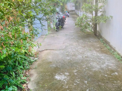 Chính chủ cần bán nhà - đất có vị trí đẹp  tại thị trấn châu thành -h. châu thành - bến tre 3
