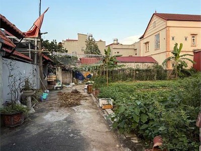 Mảnh đất đẹp ngọc động   gia lâm  vuông vắn-thoáng sáng-an sinh đỉnh.    diện tích: 48 m 2