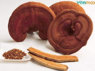 Cùng Vitamax khám phá lợi ích đặc trưng của nấm linh chi đối với từng nhóm tuổi 0