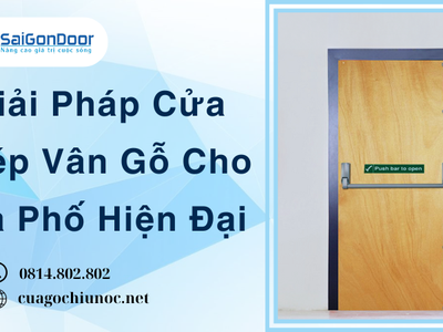 Giải Pháp Cửa Thép Vân Gỗ Cho Nhà Phố Hiện Đại 1