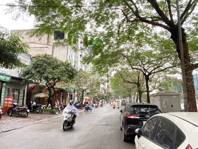 Mặt phố nguyễn khang   lô góc 2 mặt thoáng   83m2 - 5 tầng   sổ vuông   chỉ 52,5 tỷ 2