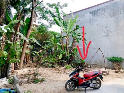 Bán đất 63,4m  ngõ 126 Cam Lộ   Hùng Vương- Hồng Bàng- Hải Phòng   Giá chỉ 1,57 tỷ 0