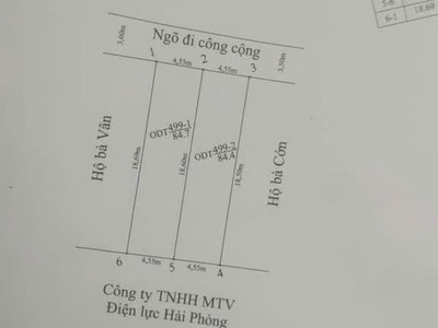 Bán 2 lô đất cạnh nhau 85m2 ngay chợ Nguyễn Trung Thành, Hùng Vương, Hồng Bàng, Hải Phòng 1