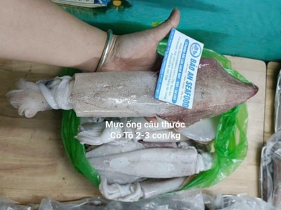 Nơi bán mực ống câu vip ngon tuyển chọn 0