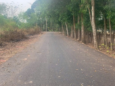 Bán đất phân lô đường 8m phạm văn cội, giao bà thiên, 5x25m, full thổ cư, tiện xây, 1,6 tỷ 1
