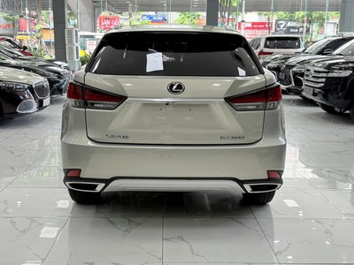 Xe vừa cập bên. Lexus RX300 sản xuất 2020, biển Hà Nội. 3