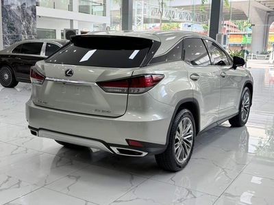 Xe vừa cập bên. Lexus RX300 sản xuất 2020, biển Hà Nội. 4