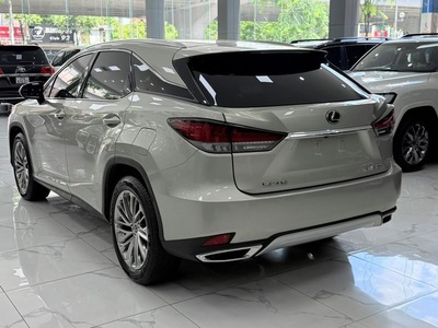 Xe vừa cập bên. Lexus RX300 sản xuất 2020, biển Hà Nội. 6