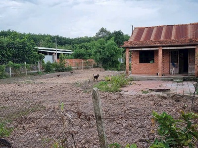 1000m2   có 241m2 thổ cư  góc 2 mặt tiền 1/ Trung Lập xã Trung Lập Thượng, Củ Chi giá 4 tỷ 2
