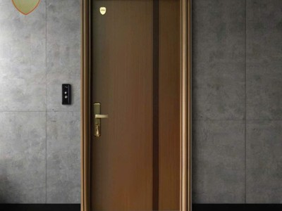 Cửa Thép Căn Hộ ANG 01 0