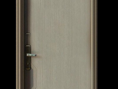Cửa Thép Căn Hộ ANG 02 0