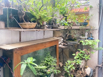 Bán nhà một đời chủ, cmt8, quận 3 - 90m2 ngang lớn 6m chỉ 20m ra mt giá nhỉnh 7t 1