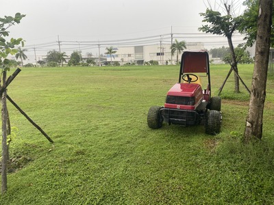Dịch Vụ Cắt Cỏ Chuyên Nghiệp giá rẻ ở HCM, Đồng Nai 0