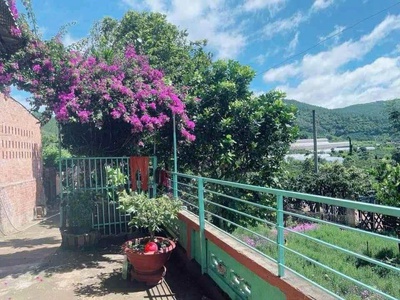 Bán đất cam ly đà lạt - 8010m2, 338m2 thổ cư, quy hoạch full thổ, gần các điểm du lịch 2