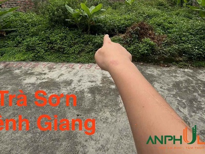 Cần bán 100m2 đất phường Lê Ích Mộc  xã Chính Mỹ  , TP Hải Phòng 2