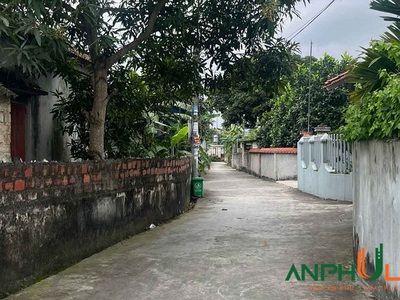 Cần bán 100m2 đất phường Lê Ích Mộc  xã Chính Mỹ  , TP Hải Phòng 3