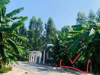 Bán đất phân lô khu xen ghép Đôn Hậu, Khai Quang, Vĩnh Yên, Vĩnh Phúc 3
