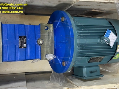 Động cơ giảm tốc BGM 0