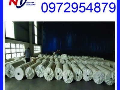Cung cấp manh PP bọc thép 16