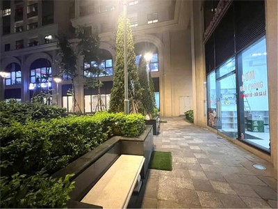 Cho thuê shophouse chân đế chung cư   giá tốt- chung cư moonlight, khu đô thị an lạc green symphony, 2