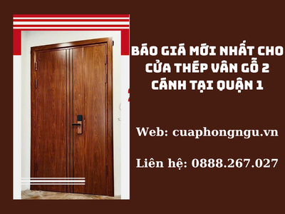 Báo Giá Mới Nhất Cho Cửa Thép Vân Gỗ 2 Cánh Tại Quận 1 0