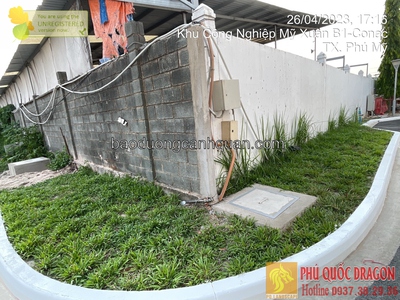 Dịch Vụ Trồng Cỏ Sân Vườn Chuyên Nghiệp Uy Tín, Giá Tốt ở HCM, Đồng Nai 0