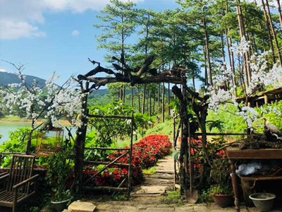 Khám Phá Đà Lạt 2