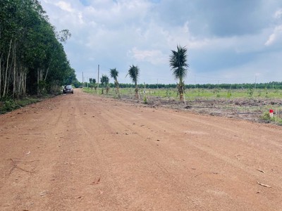  250 triệu   1000m  đất ngay đường xuyên tâm đồng phú  0
