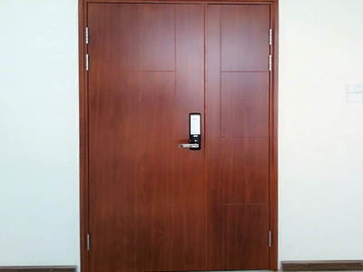 Tại Sao Nên Chọn Cửa Thép Vân Gỗ Cho Ngôi Nhà Hiện Đại 3