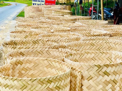 Cót tre làm trang trí ốp trần giá rẻ 6