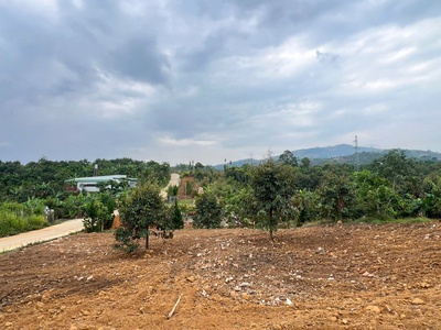 Bán gấp đất nền sân vườn view đẹp 310m2 tại Quốc Lộ 55, phường 2, Lâm Đồng, giá 799 triệu 0