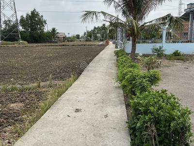Đất nền giá hấp dẫn tại xã tân trạch cần đước, long an. 0