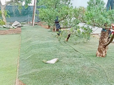Hot có 2000m2     sở hữu ngay lô đất đẹp - giá tốt - vị trí đắc địa tại vĩnh ngọc   đông anh 4